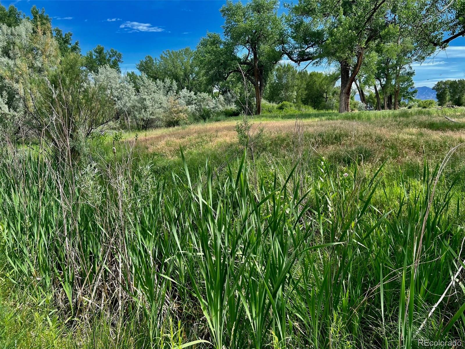 1797 County Road 346, Rifle, CO 81650, ,Land,For Sale,County Road 346,REC7320826