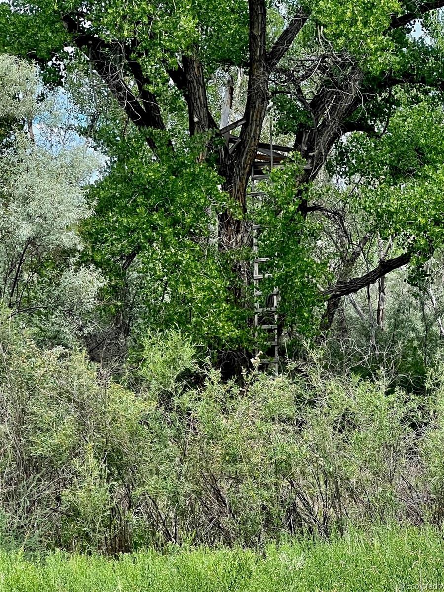 1797 County Road 346, Rifle, CO 81650, ,Land,For Sale,County Road 346,REC7320826