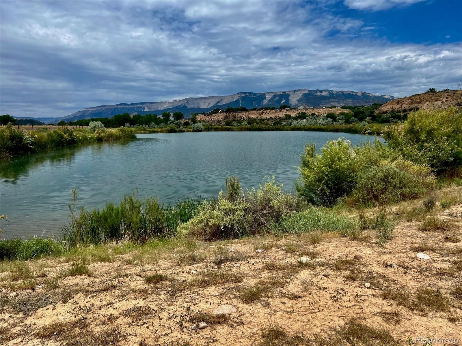 1797 County Road 346, Rifle, CO 81650, ,Land,For Sale,County Road 346,REC7320826