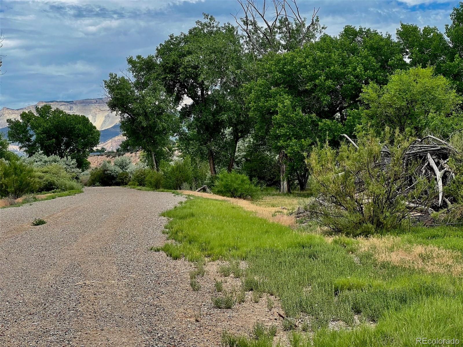 1797 County Road 346, Rifle, CO 81650, ,Land,For Sale,County Road 346,REC7320826