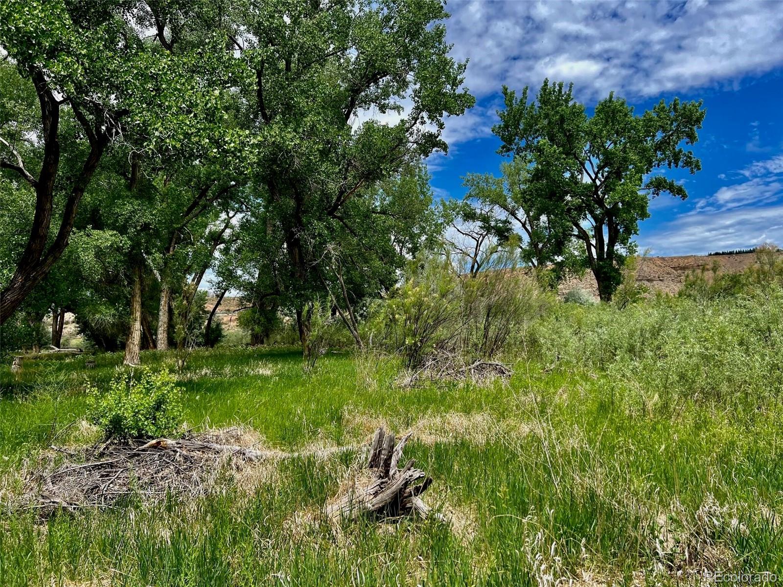 1797 County Road 346, Rifle, CO 81650, ,Land,For Sale,County Road 346,REC7320826