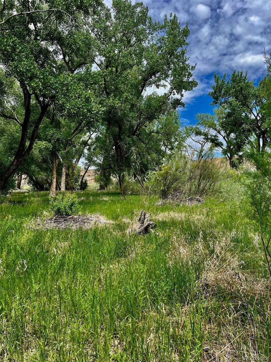 1797 County Road 346, Rifle, CO 81650, ,Land,For Sale,County Road 346,REC7320826