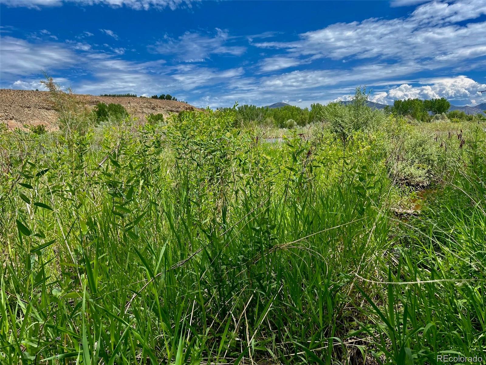 1797 County Road 346, Rifle, CO 81650, ,Land,For Sale,County Road 346,REC7320826