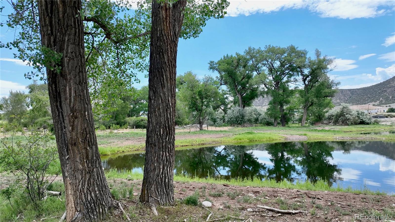 1797 County Road 346, Rifle, CO 81650, ,Land,For Sale,County Road 346,REC7320826