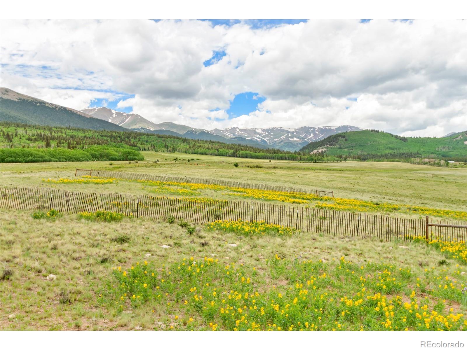 1000 County Road 33, Como, CO 80432, 5 Bedrooms Bedrooms, ,6 BathroomsBathrooms,Residential,For Sale,County Road 33,REC7972347