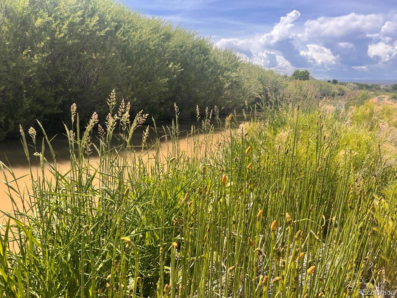 6617 5700 Road, Olathe, CO 81425, 3 Bedrooms Bedrooms, ,2 BathroomsBathrooms,Residential,For Sale,5700,REC2762686