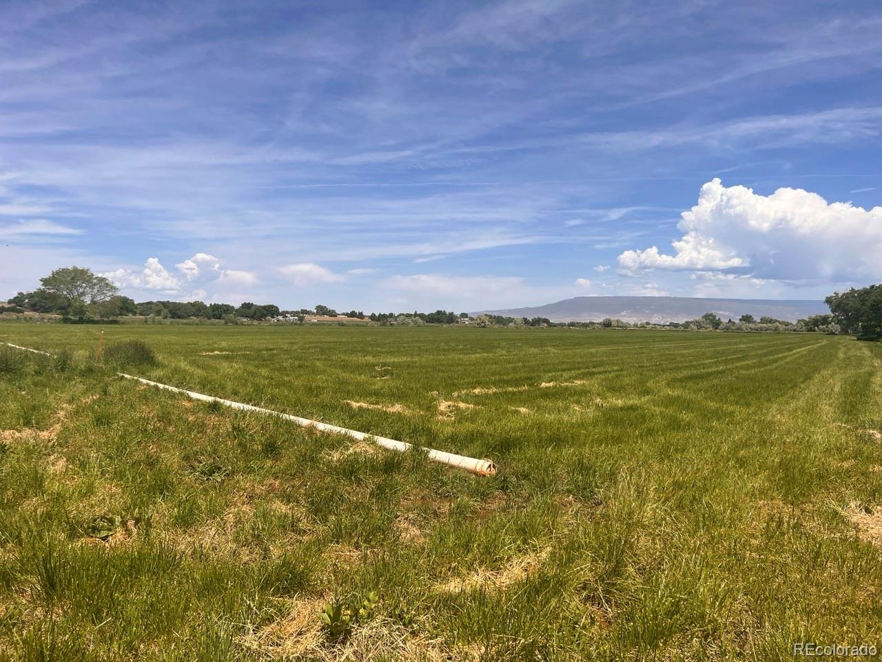 6617 5700 Road, Olathe, CO 81425, 3 Bedrooms Bedrooms, ,2 BathroomsBathrooms,Residential,For Sale,5700,REC2762686