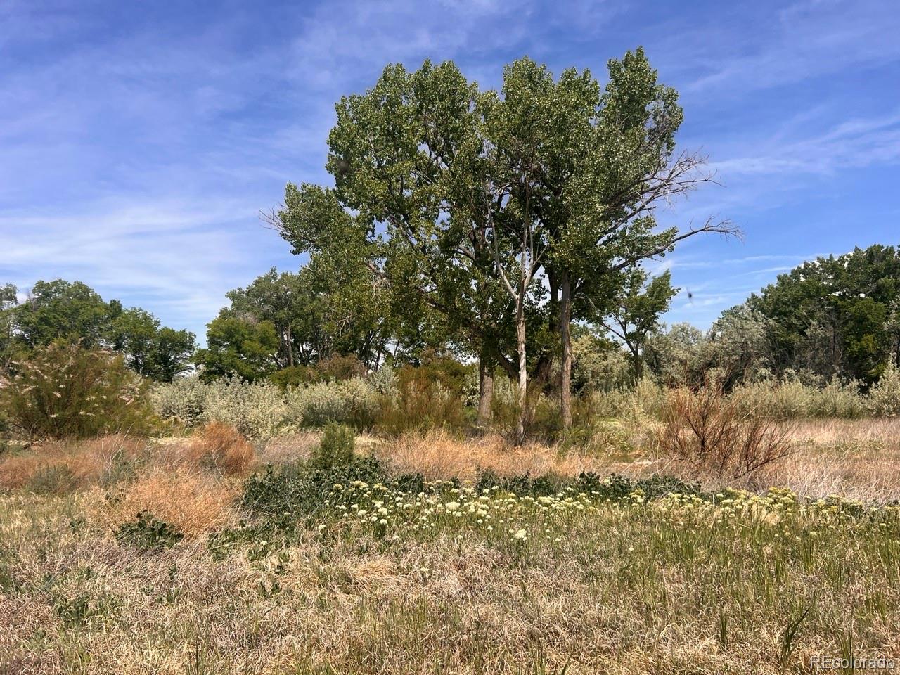 6617 5700 Road, Olathe, CO 81425, 3 Bedrooms Bedrooms, ,2 BathroomsBathrooms,Residential,For Sale,5700,REC2762686