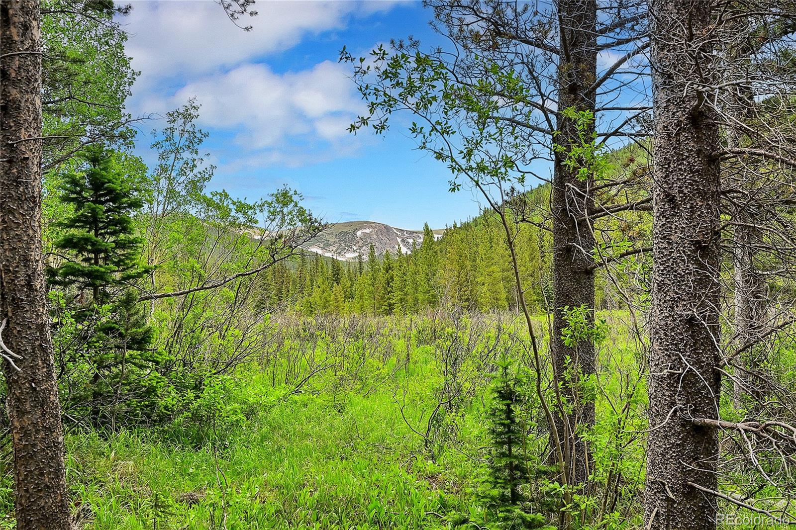 Lot 7 Silver Creek Road, Idaho Springs, CO 80452, ,Land,For Sale,Silver Creek,REC5589539