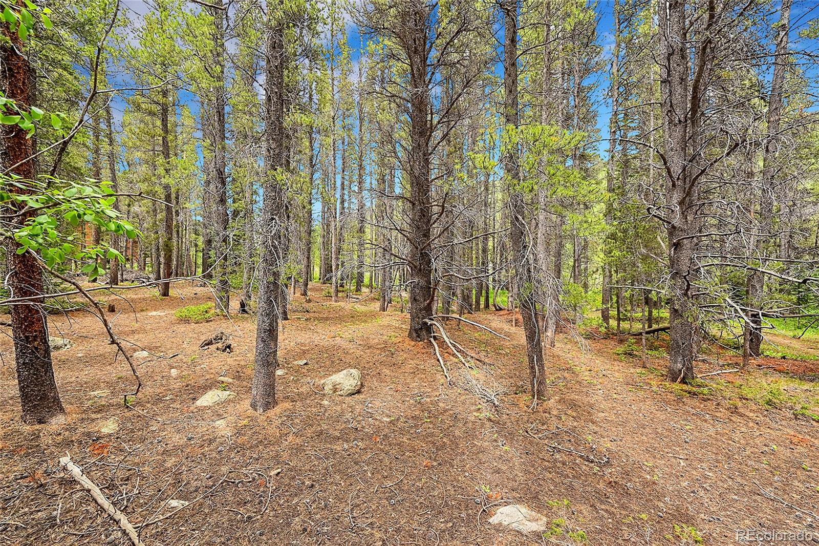 Lot 7 Silver Creek Road, Idaho Springs, CO 80452, ,Land,For Sale,Silver Creek,REC5589539
