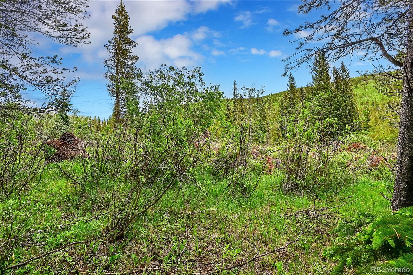Lot 7 Silver Creek Road, Idaho Springs, CO 80452, ,Land,For Sale,Silver Creek,REC5589539