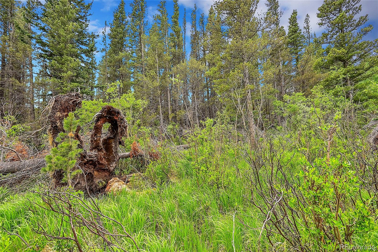 Lot 7 Silver Creek Road, Idaho Springs, CO 80452, ,Land,For Sale,Silver Creek,REC5589539