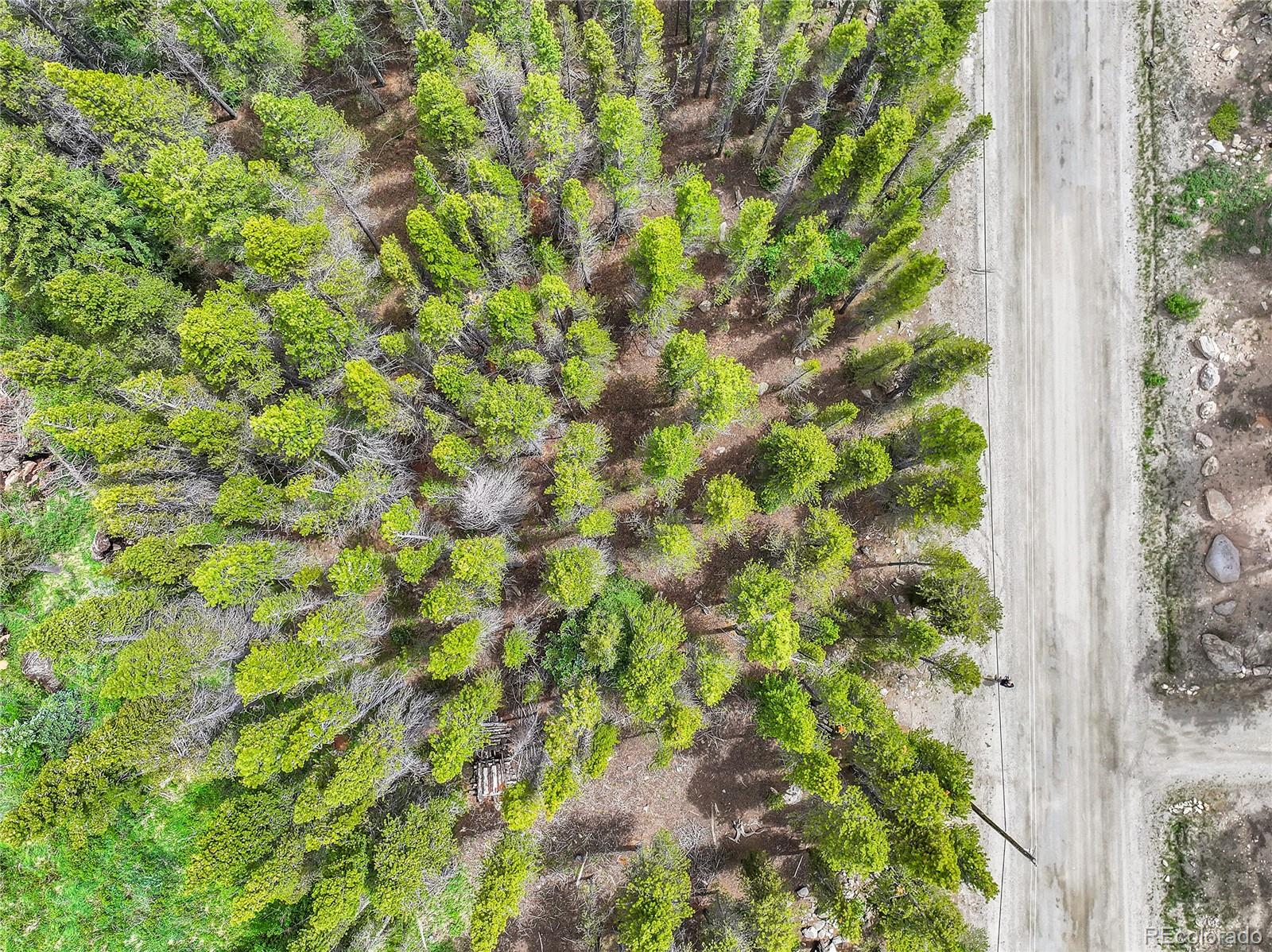 Lot 7 Silver Creek Road, Idaho Springs, CO 80452, ,Land,For Sale,Silver Creek,REC5589539