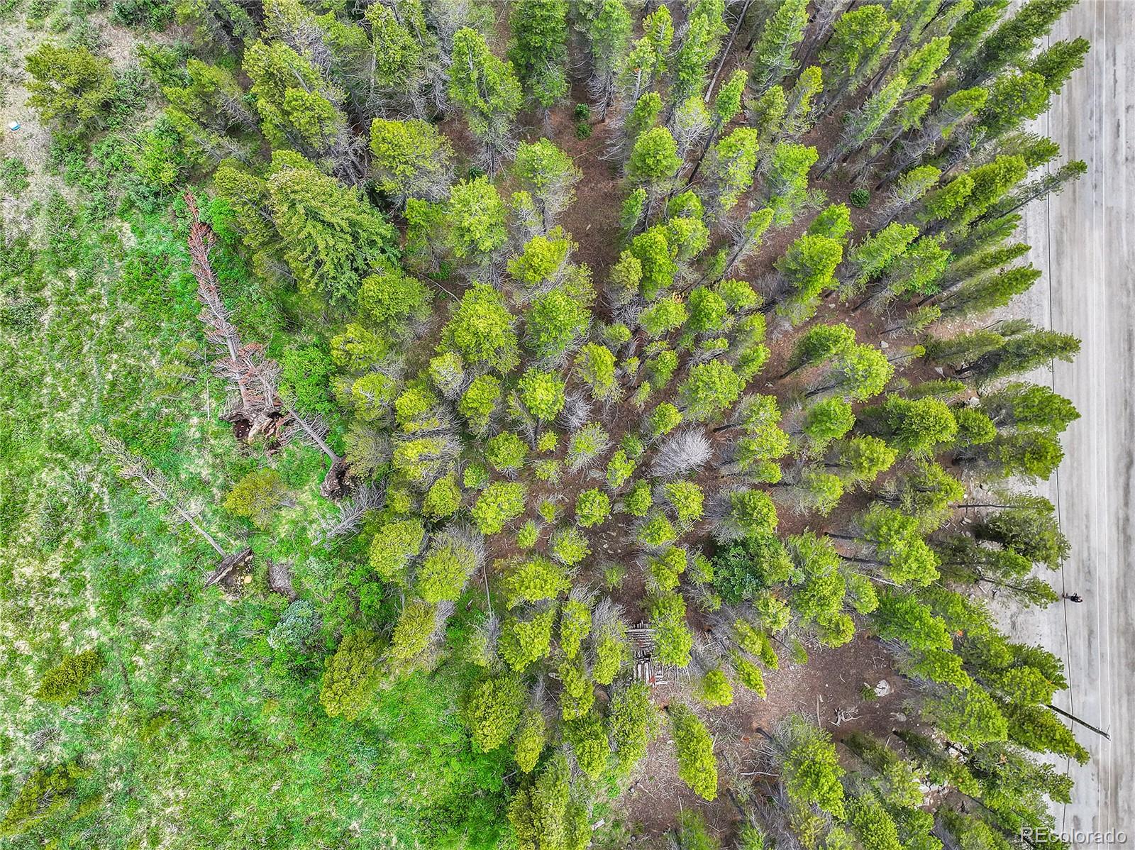 Lot 7 Silver Creek Road, Idaho Springs, CO 80452, ,Land,For Sale,Silver Creek,REC5589539