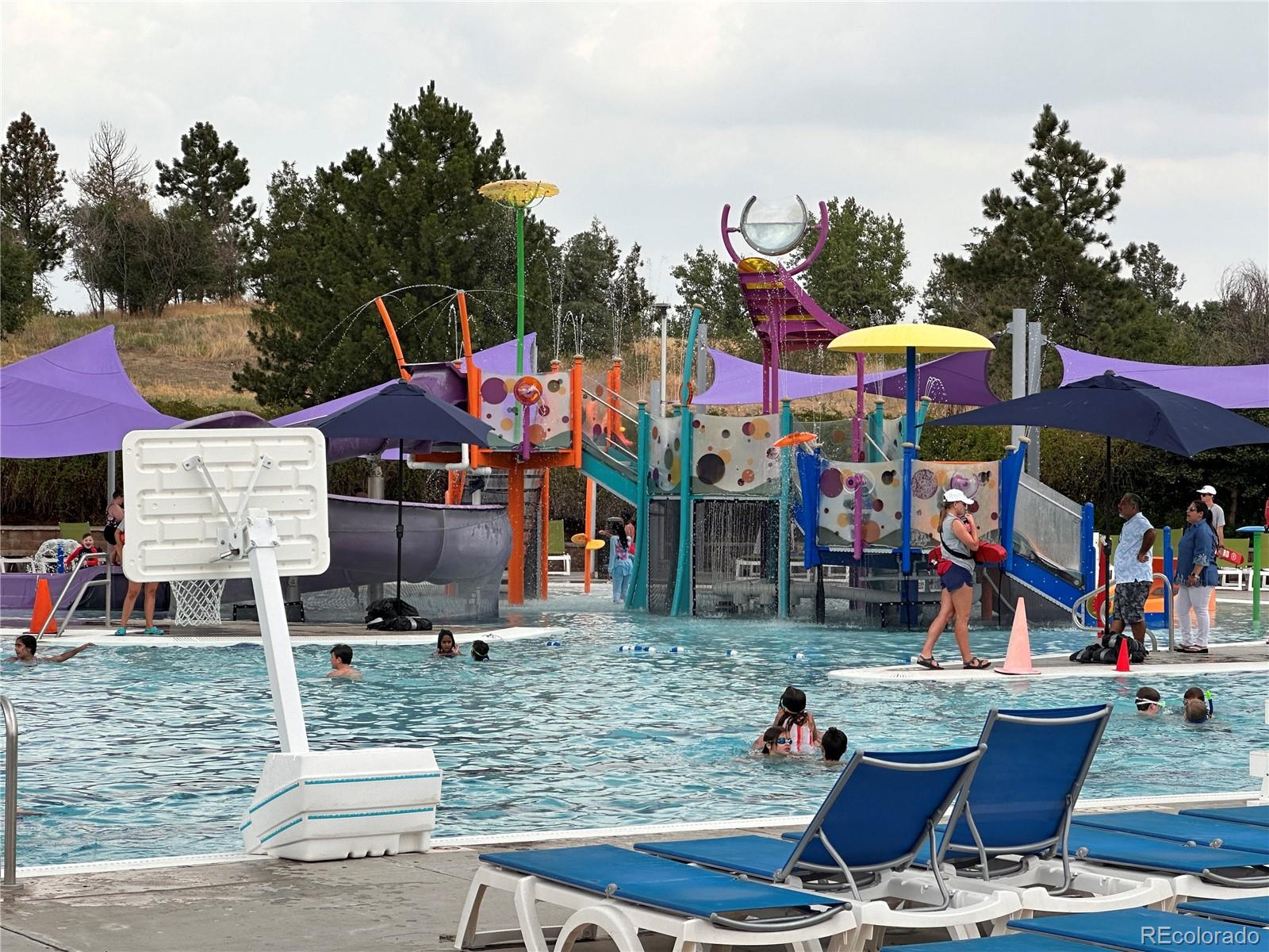 22160 Wintergreen Way, Parker, CO 80138, 5 Bedrooms Bedrooms, ,4 BathroomsBathrooms,Residential,For Sale,Wintergreen,REC4037601