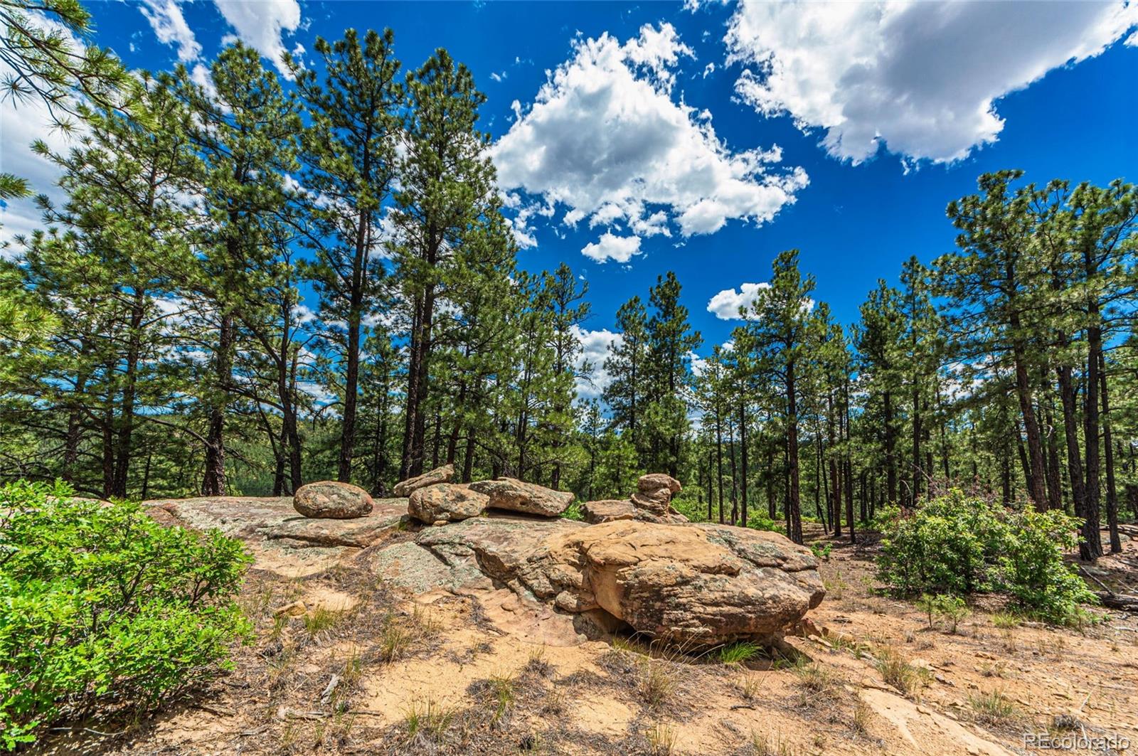 13250 Mountain Meadow Trace, Weston, CO 81091, 2 Bedrooms Bedrooms, ,2 BathroomsBathrooms,Residential,For Sale,Mountain Meadow,REC4382762
