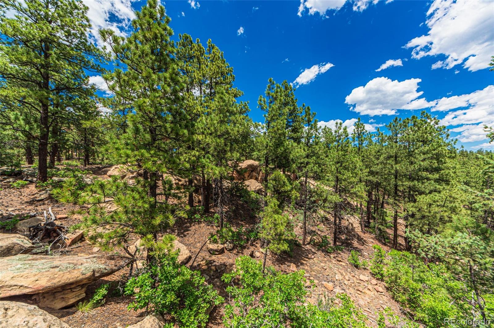 13250 Mountain Meadow Trace, Weston, CO 81091, 2 Bedrooms Bedrooms, ,2 BathroomsBathrooms,Residential,For Sale,Mountain Meadow,REC4382762