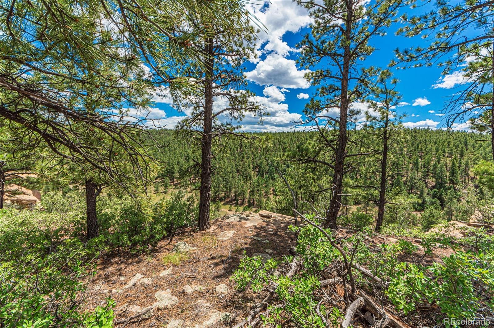 13250 Mountain Meadow Trace, Weston, CO 81091, 2 Bedrooms Bedrooms, ,2 BathroomsBathrooms,Residential,For Sale,Mountain Meadow,REC4382762