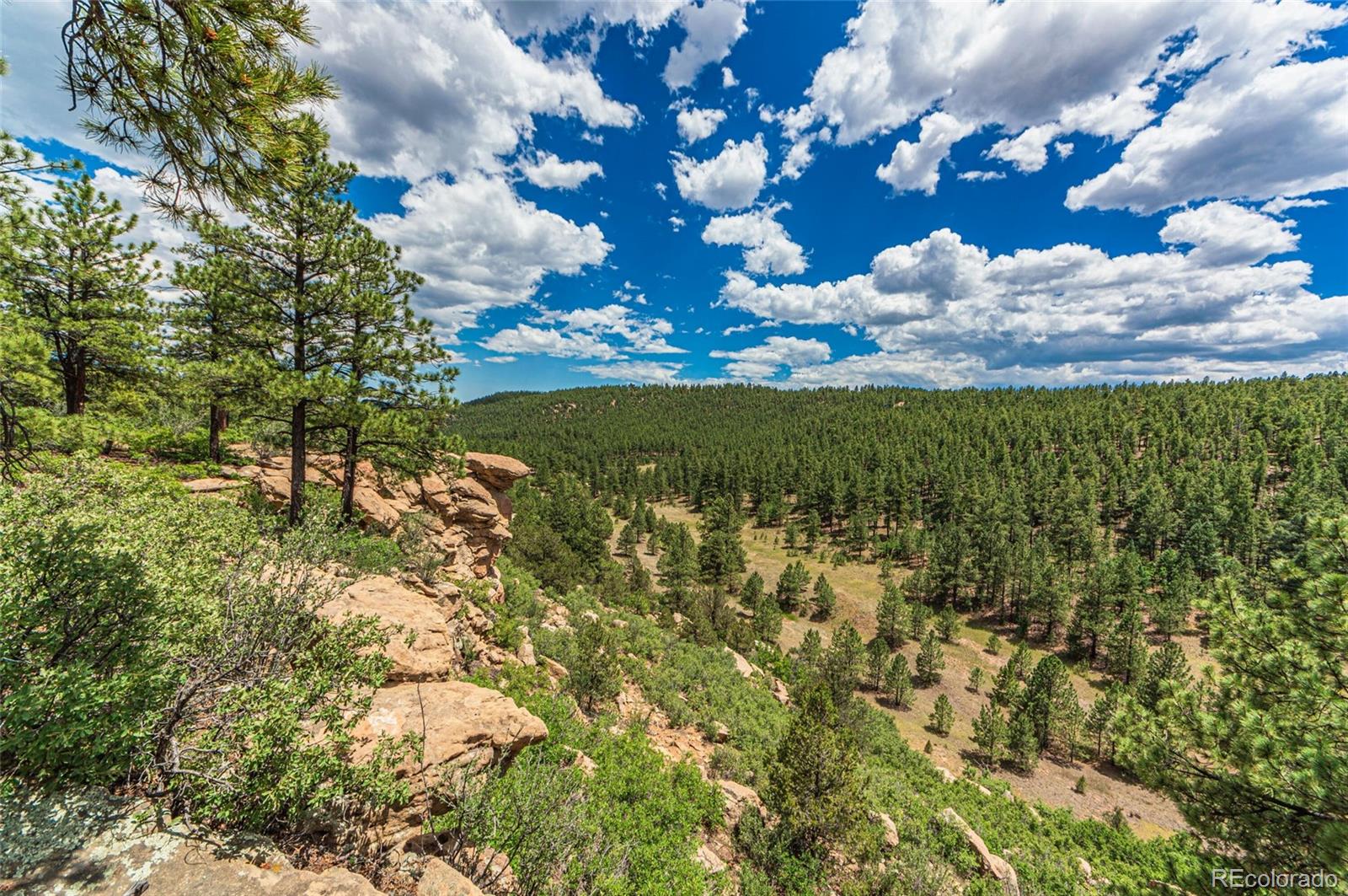 13250 Mountain Meadow Trace, Weston, CO 81091, 2 Bedrooms Bedrooms, ,2 BathroomsBathrooms,Residential,For Sale,Mountain Meadow,REC4382762
