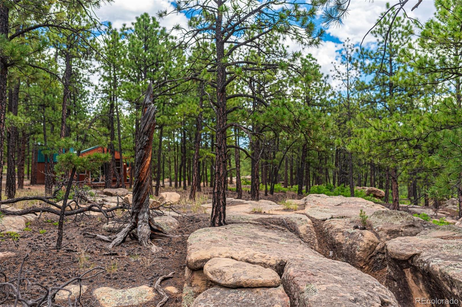 13250 Mountain Meadow Trace, Weston, CO 81091, 2 Bedrooms Bedrooms, ,2 BathroomsBathrooms,Residential,For Sale,Mountain Meadow,REC4382762