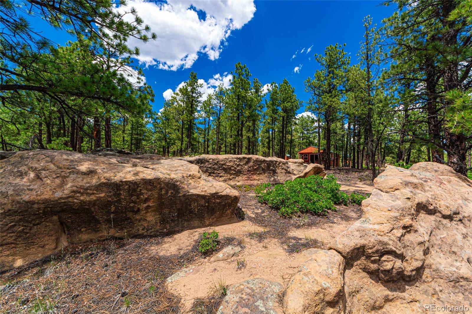 13250 Mountain Meadow Trace, Weston, CO 81091, 2 Bedrooms Bedrooms, ,2 BathroomsBathrooms,Residential,For Sale,Mountain Meadow,REC4382762
