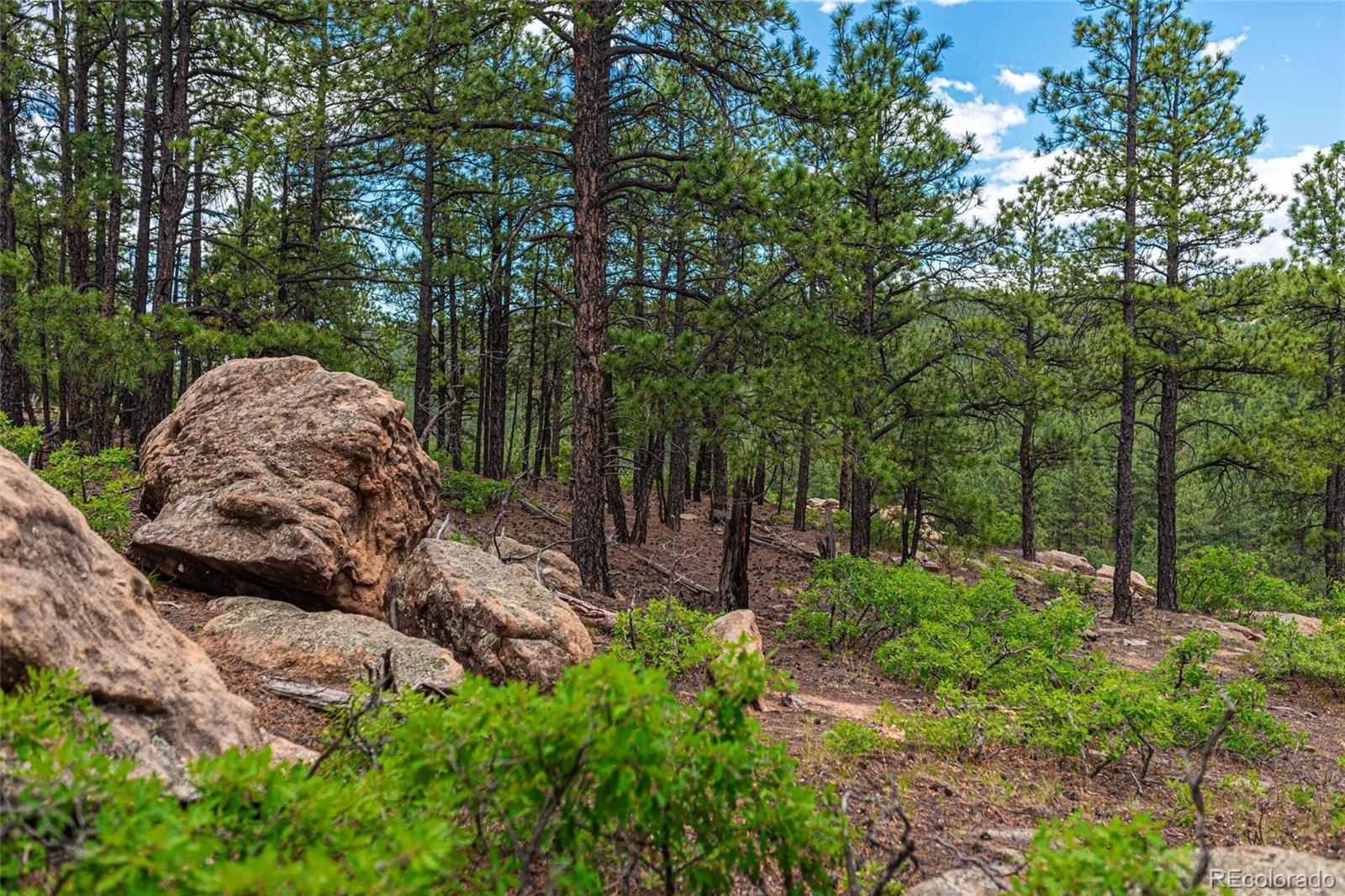 13250 Mountain Meadow Trace, Weston, CO 81091, 2 Bedrooms Bedrooms, ,2 BathroomsBathrooms,Residential,For Sale,Mountain Meadow,REC4382762