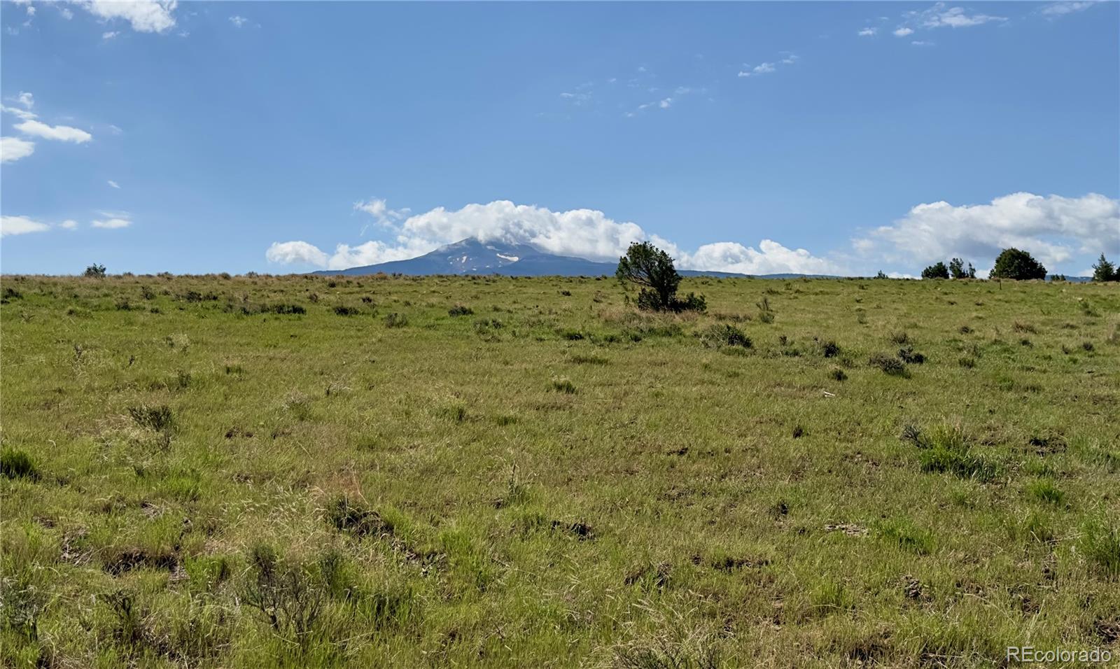 TBD County Road 31 U, Norwood, CO 81423, ,Land,For Sale,County Road 31 U,REC1868370