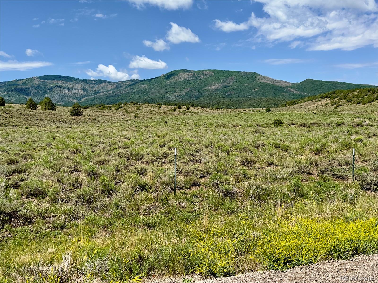TBD County Road 31 U, Norwood, CO 81423, ,Land,For Sale,County Road 31 U,REC1868370