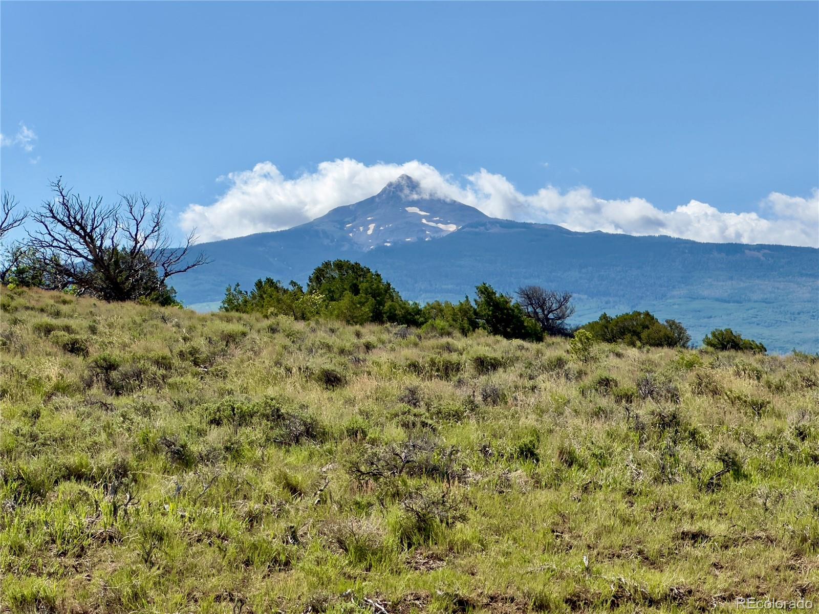 TBD County Road 31 U, Norwood, CO 81423, ,Land,For Sale,County Road 31 U,REC1868370