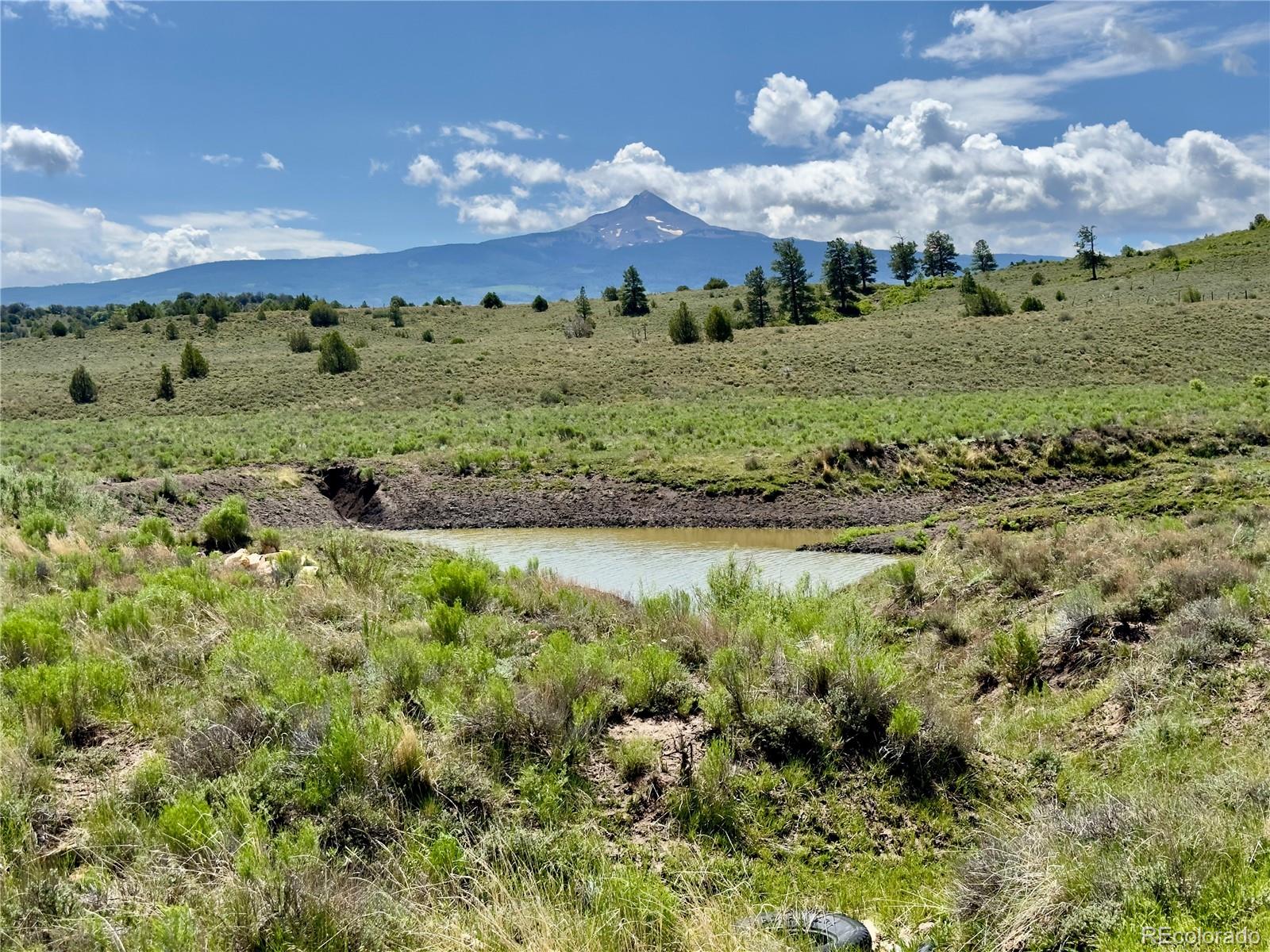 TBD County Road 31 U, Norwood, CO 81423, ,Land,For Sale,County Road 31 U,REC1868370