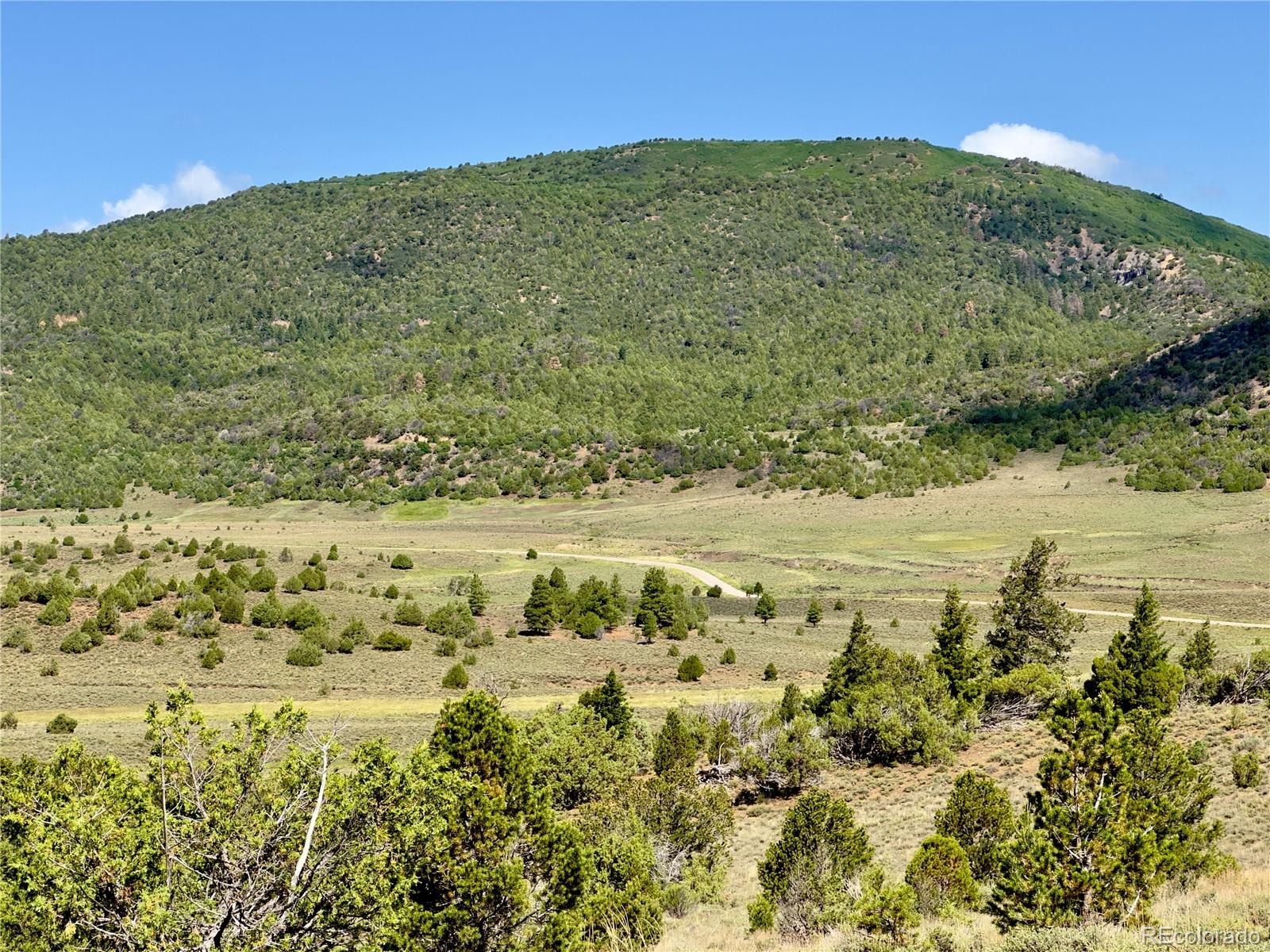 TBD County Road 31 U, Norwood, CO 81423, ,Land,For Sale,County Road 31 U,REC1868370
