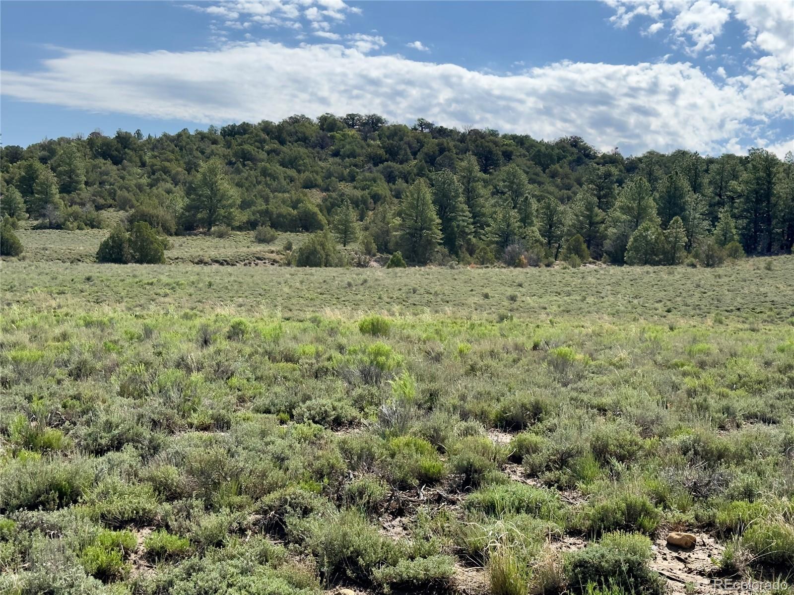 TBD County Road 31 U, Norwood, CO 81423, ,Land,For Sale,County Road 31 U,REC1868370