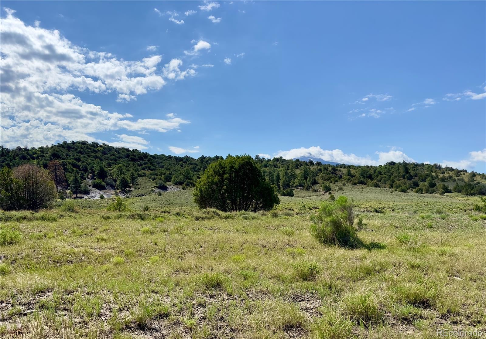 TBD County Road 31 U, Norwood, CO 81423, ,Land,For Sale,County Road 31 U,REC1868370