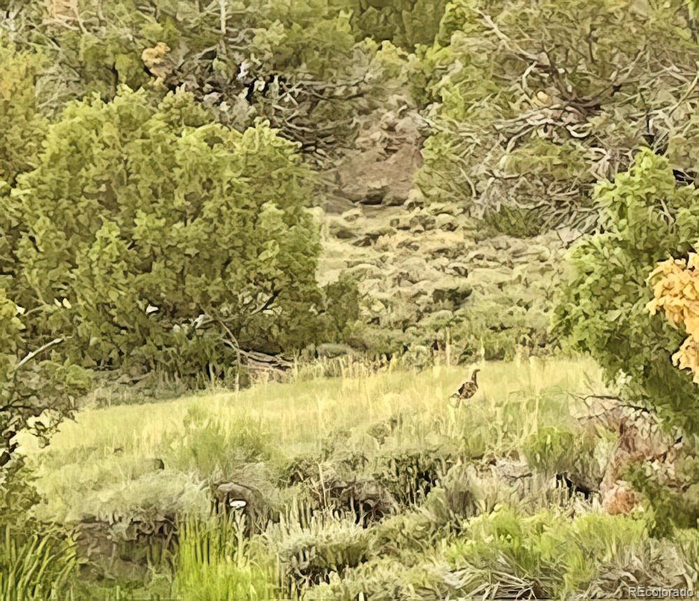 TBD County Road 31 U, Norwood, CO 81423, ,Land,For Sale,County Road 31 U,REC1868370