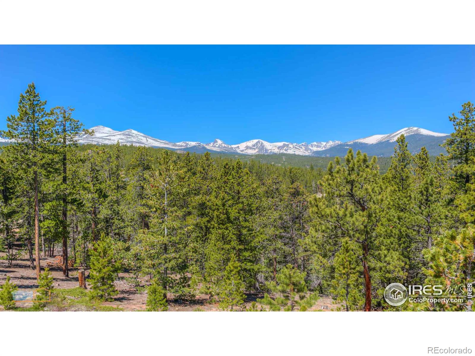 410 Pine Cone Drive, Ward, CO 80481, ,Residential,For Sale,Pine Cone,RECIR1013875