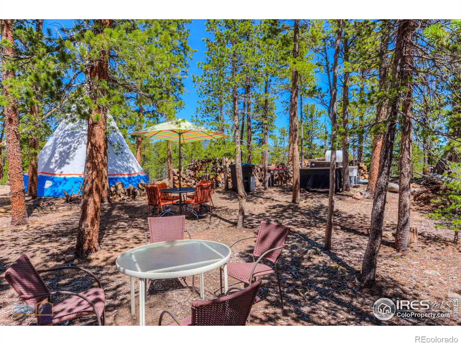 410 Pine Cone Drive, Ward, CO 80481, ,Residential,For Sale,Pine Cone,RECIR1013875