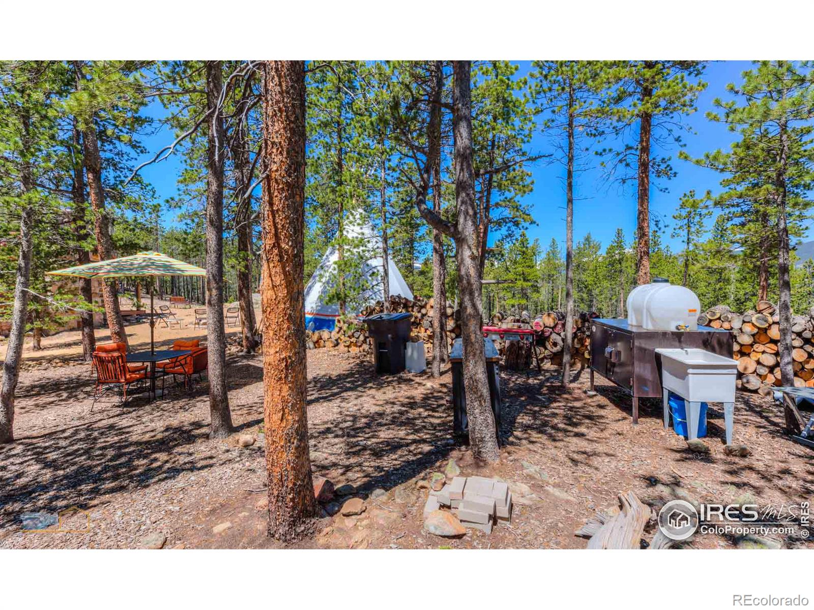 410 Pine Cone Drive, Ward, CO 80481, ,Residential,For Sale,Pine Cone,RECIR1013875