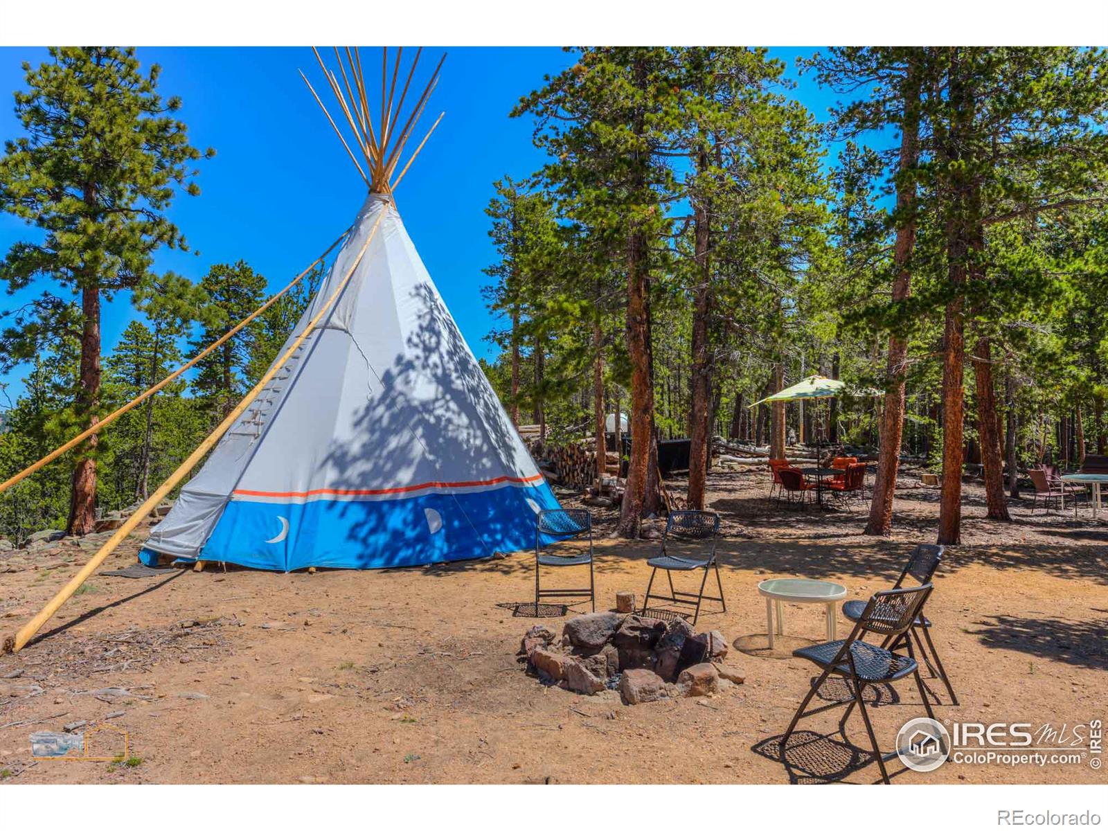 410 Pine Cone Drive, Ward, CO 80481, ,Residential,For Sale,Pine Cone,RECIR1013875