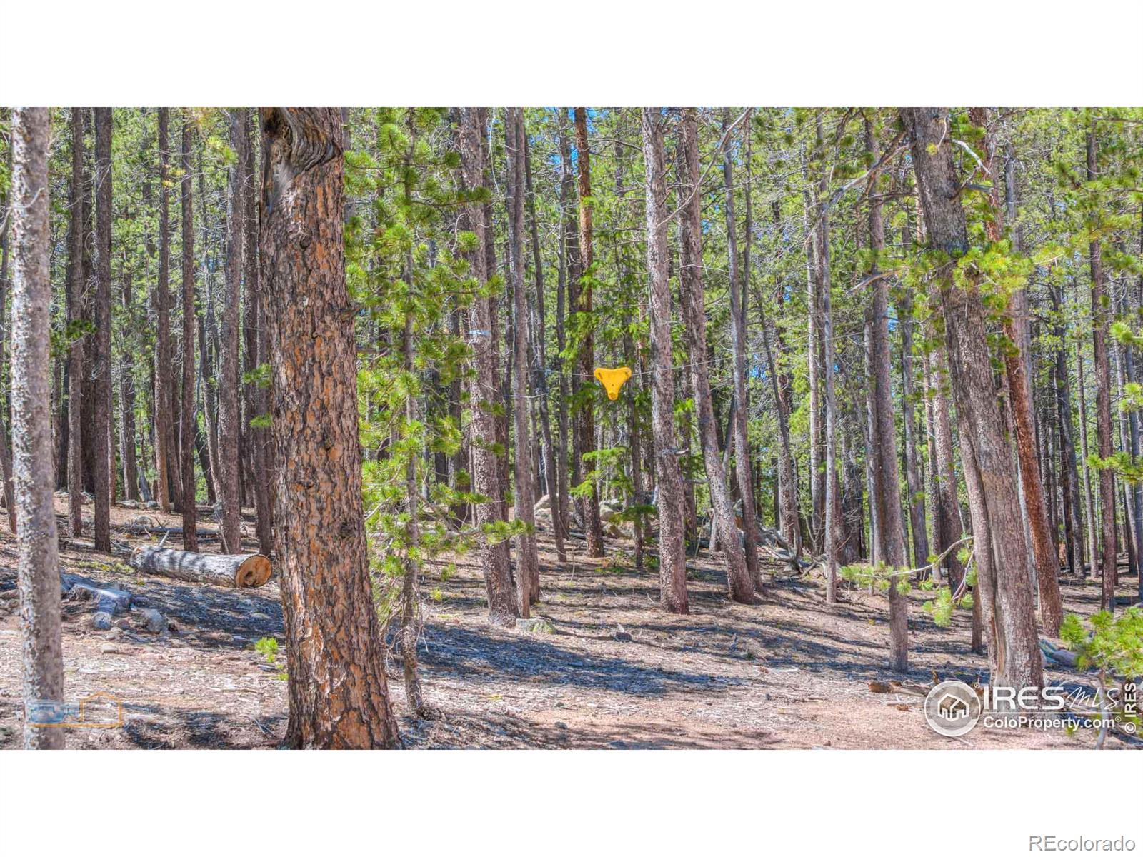 410 Pine Cone Drive, Ward, CO 80481, ,Residential,For Sale,Pine Cone,RECIR1013875