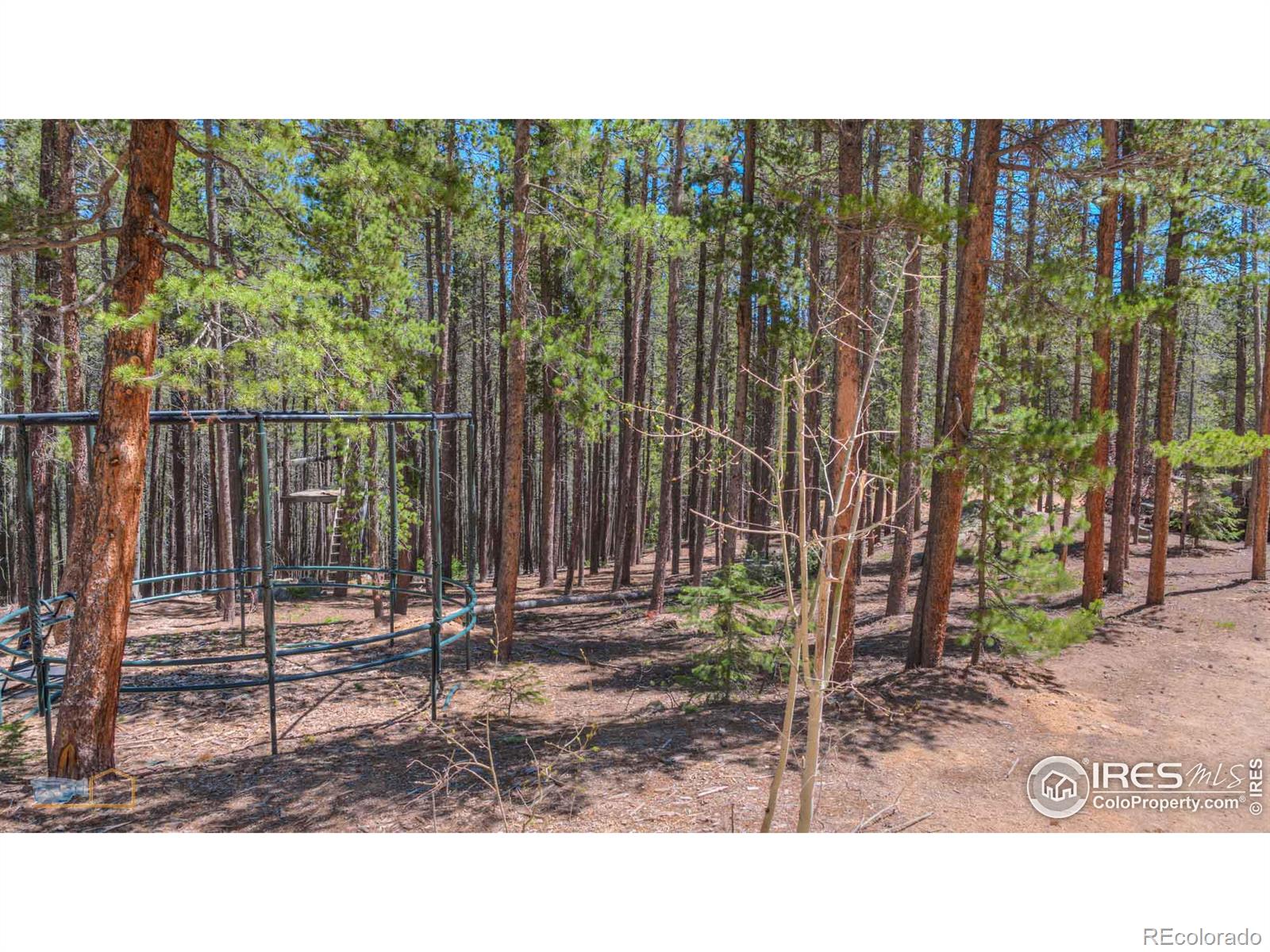 410 Pine Cone Drive, Ward, CO 80481, ,Residential,For Sale,Pine Cone,RECIR1013875