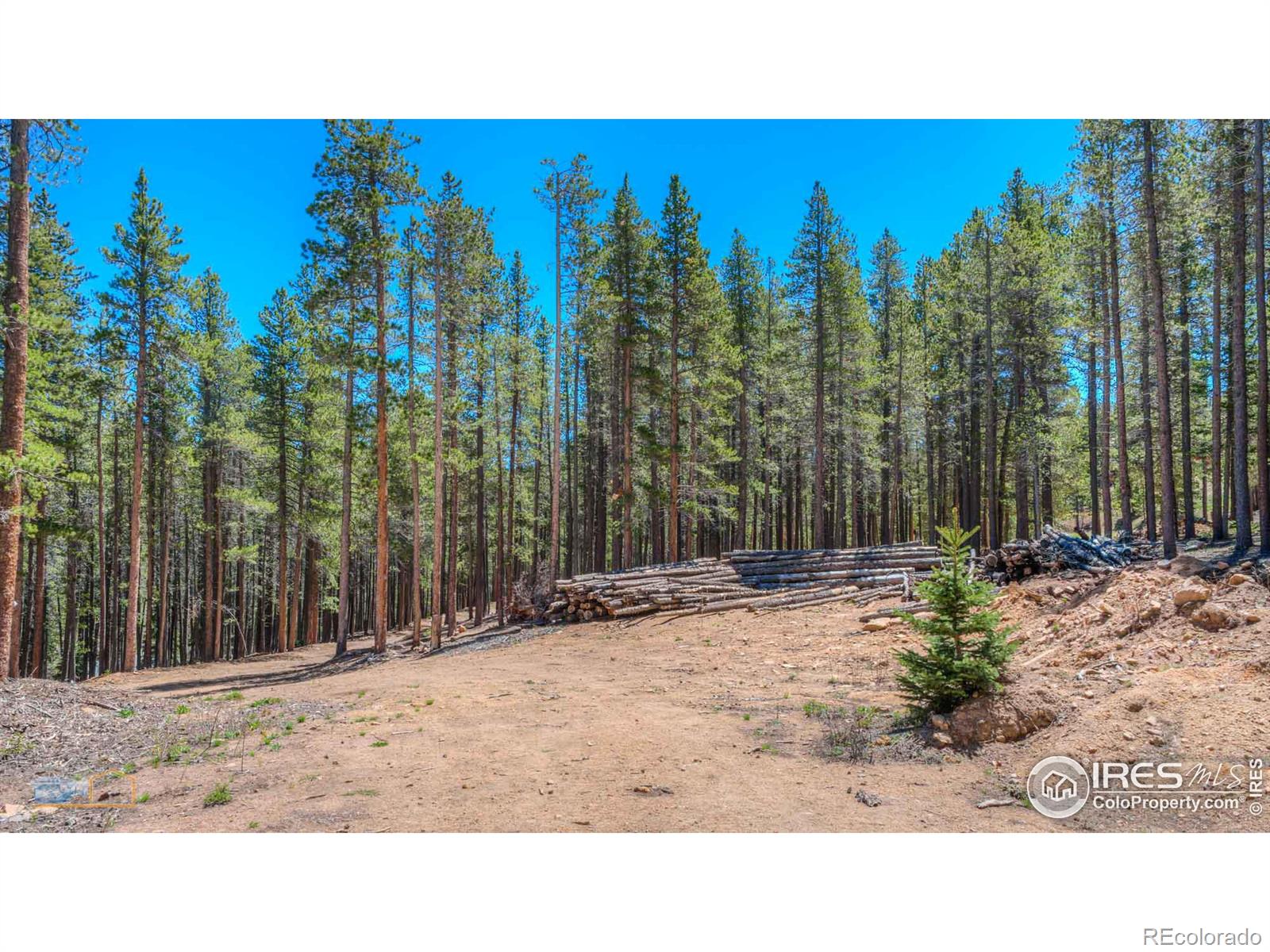 410 Pine Cone Drive, Ward, CO 80481, ,Residential,For Sale,Pine Cone,RECIR1013875