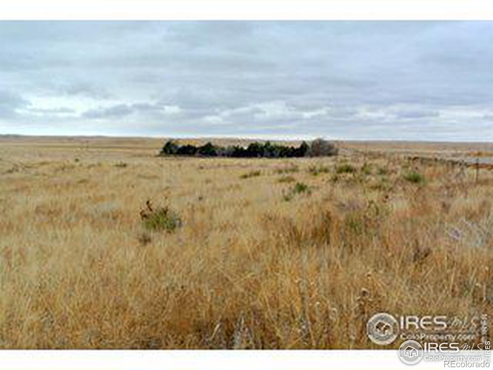 County Rd 12, Sterling, CO 80751, ,Land,For Sale,County Rd 12,RECIR1013883