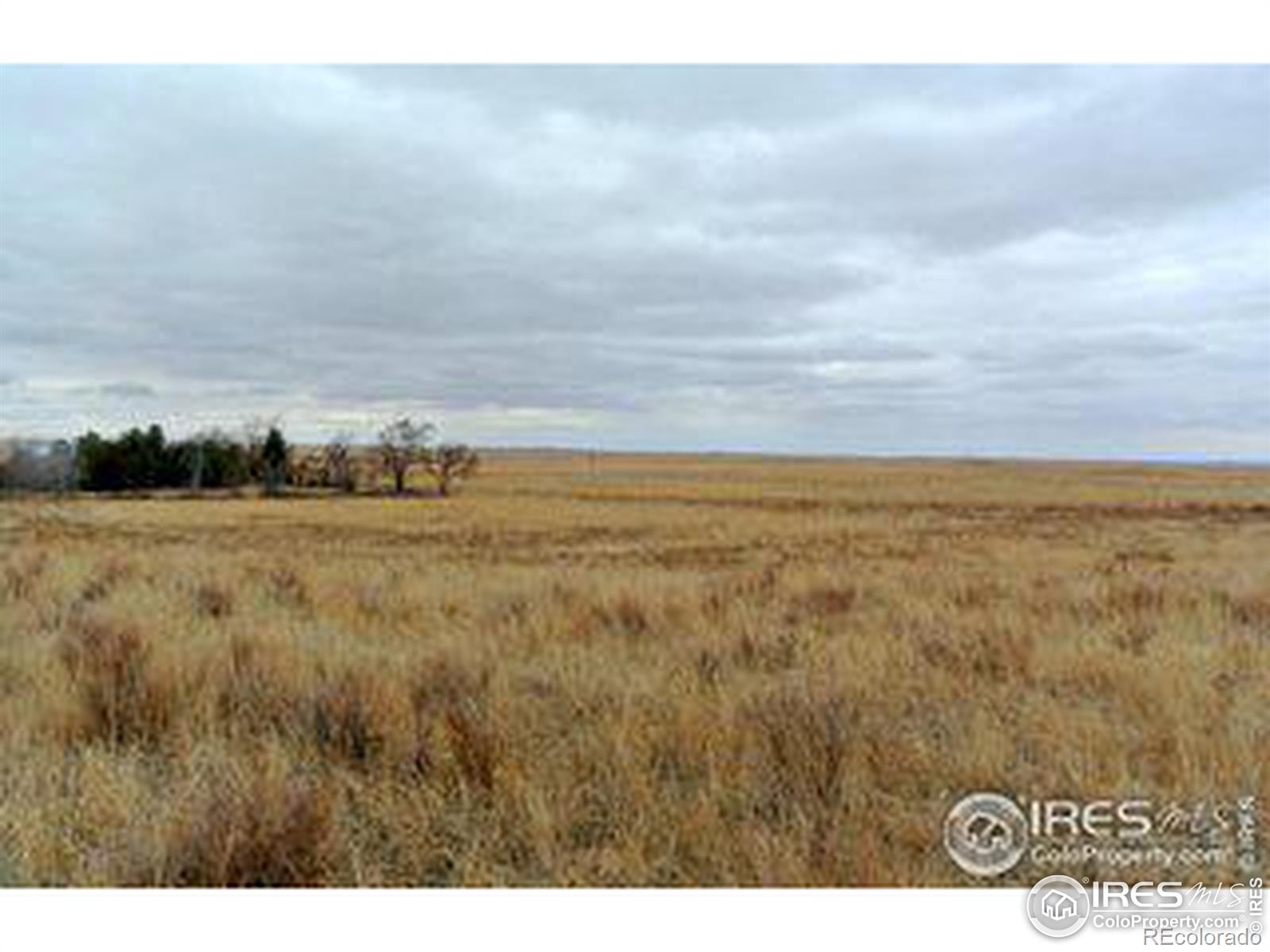 County Rd 12, Sterling, CO 80751, ,Land,For Sale,County Rd 12,RECIR1013883