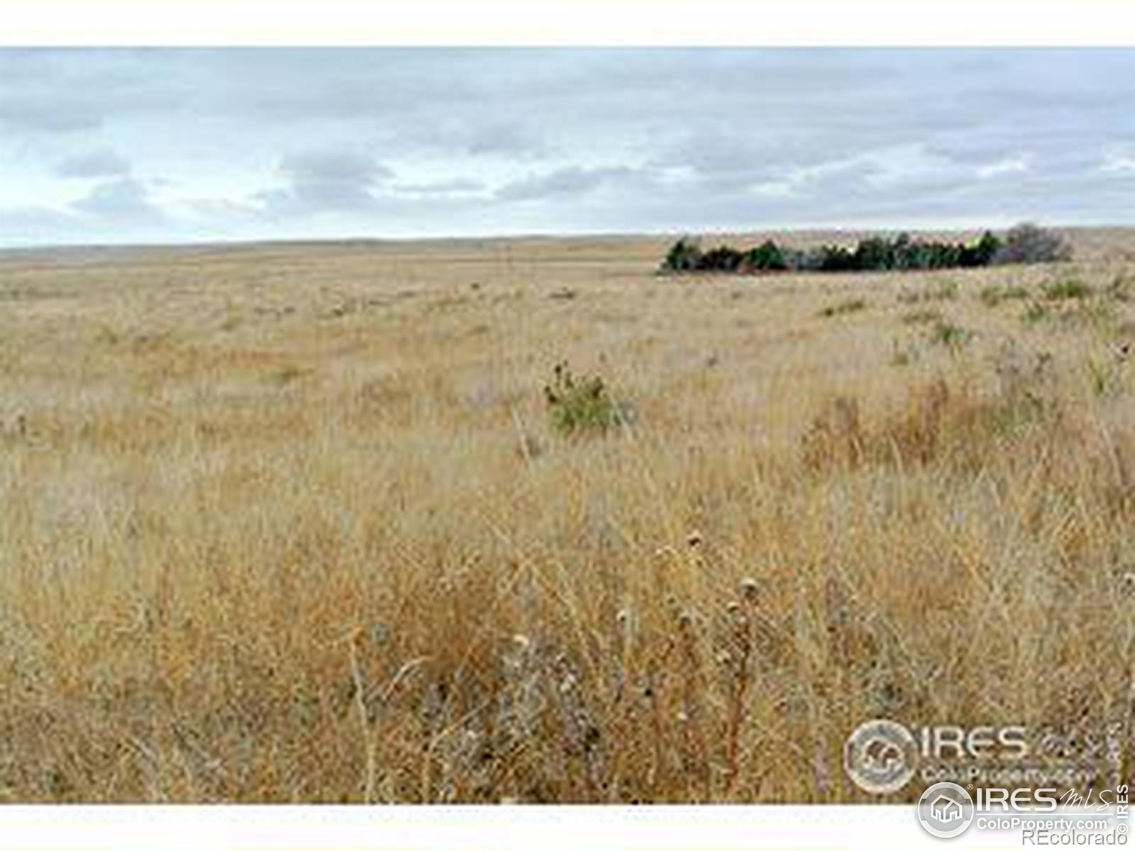 County Rd 12, Sterling, CO 80751, ,Land,For Sale,County Rd 12,RECIR1013883