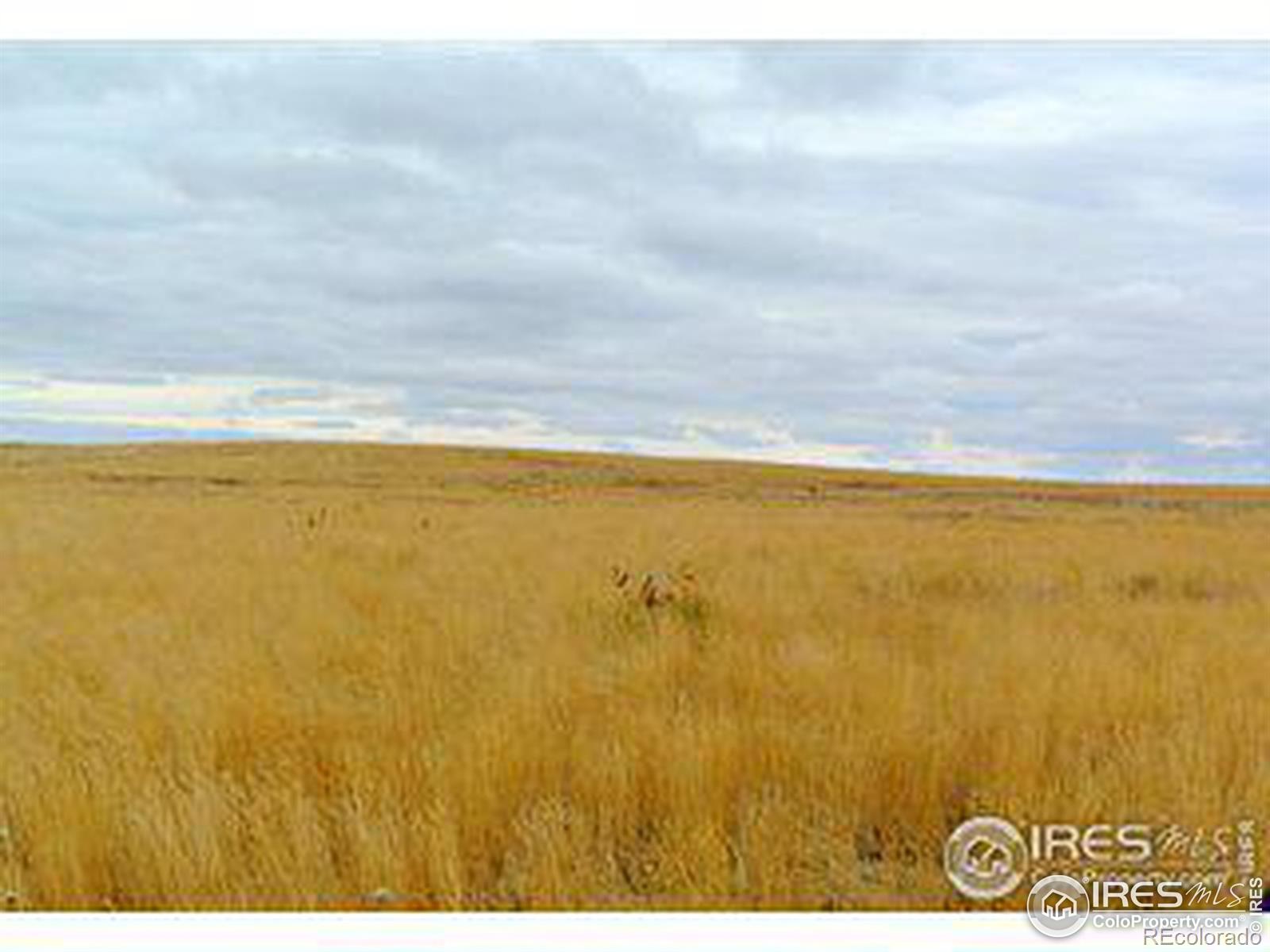 County Rd 12, Sterling, CO 80751, ,Land,For Sale,County Rd 12,RECIR1013883