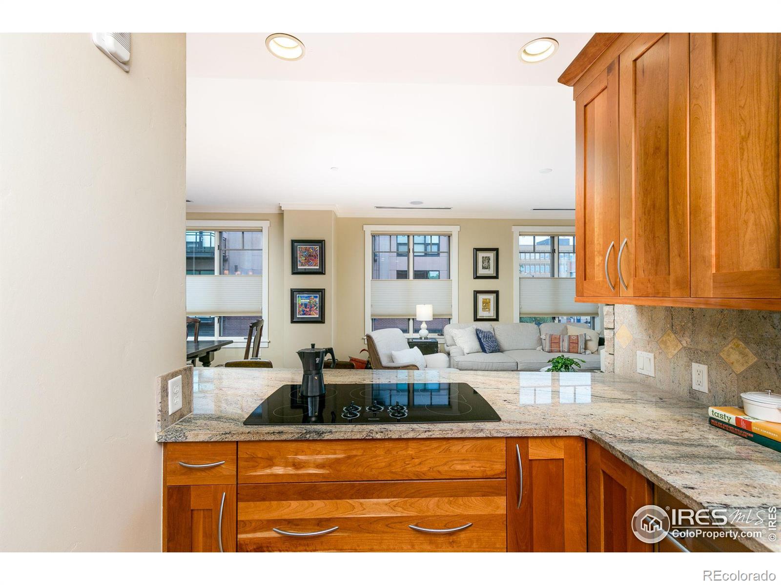 1301 Canyon Boulevard #207, Boulder, CO 80302, 2 Bedrooms Bedrooms, ,2 BathroomsBathrooms,Residential,For Sale,Canyon,RECIR1013892