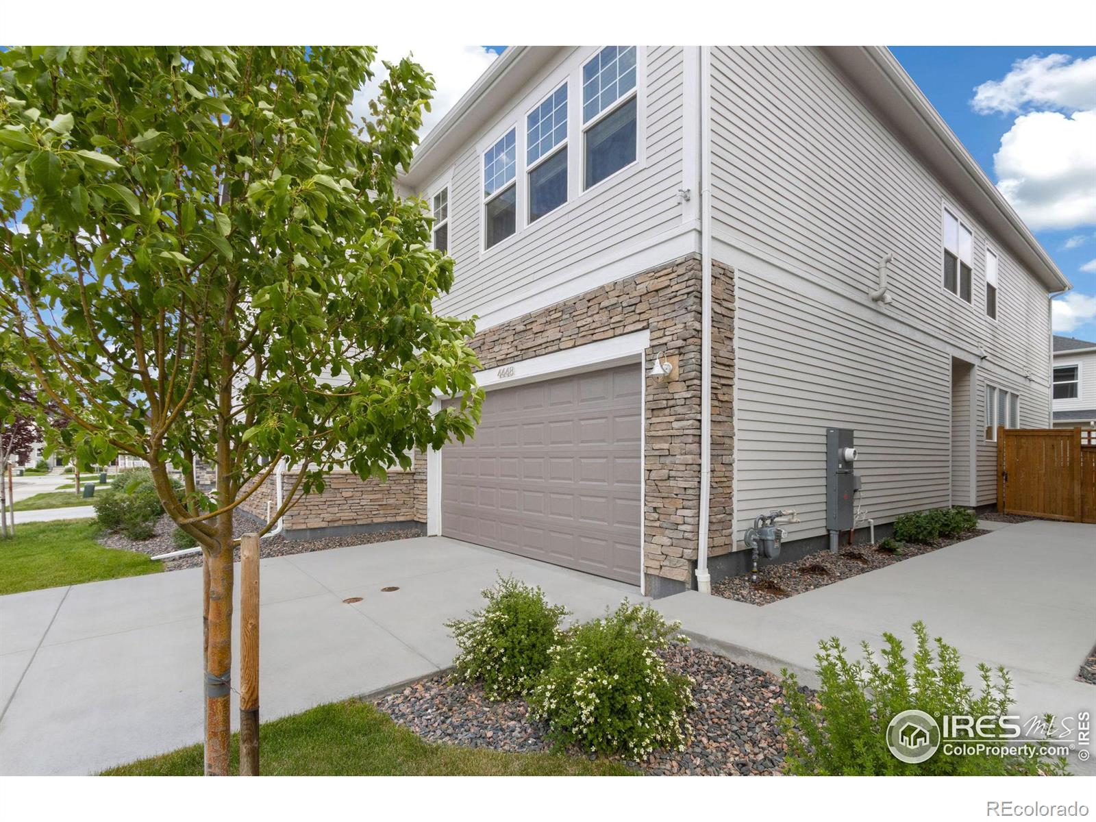 4448 Haymill Court, Timnath, CO 80547, 3 Bedrooms Bedrooms, ,3 BathroomsBathrooms,Residential,For Sale,Haymill,RECIR1014130
