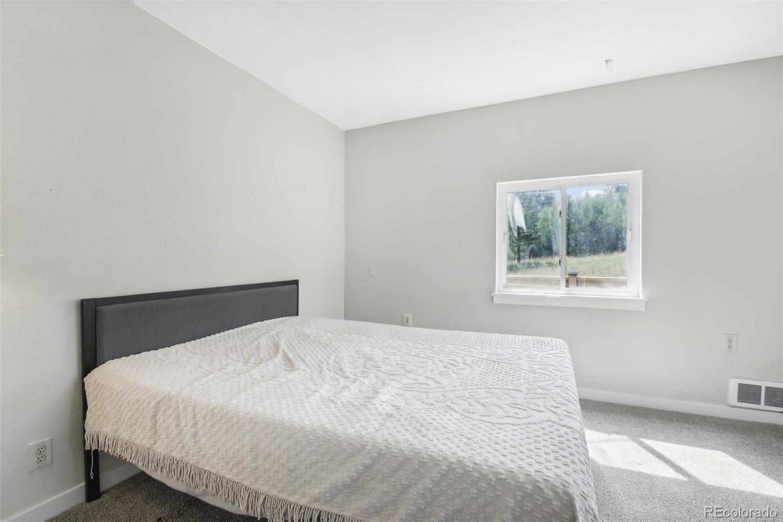 13368 Hedi Road, Woodland Park, CO 80863, 5 Bedrooms Bedrooms, ,3 BathroomsBathrooms,Residential,For Sale,Hedi,REC6791452