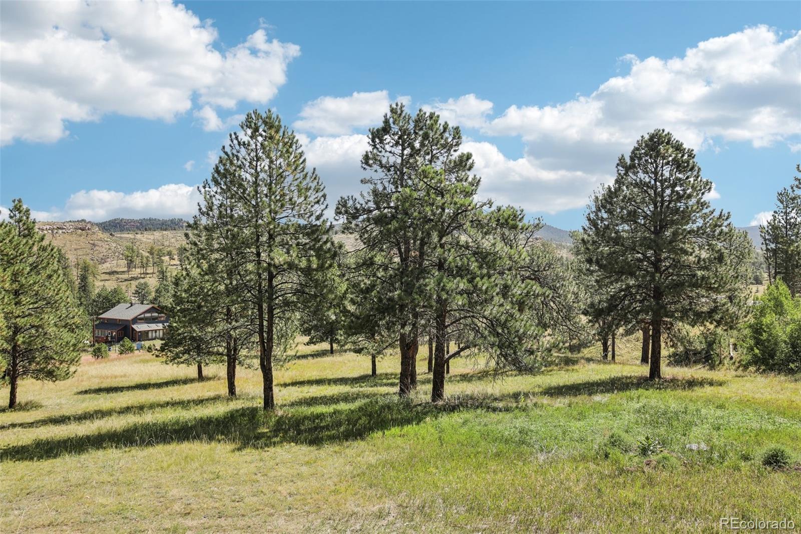 13368 Hedi Road, Woodland Park, CO 80863, 5 Bedrooms Bedrooms, ,3 BathroomsBathrooms,Residential,For Sale,Hedi,REC6791452