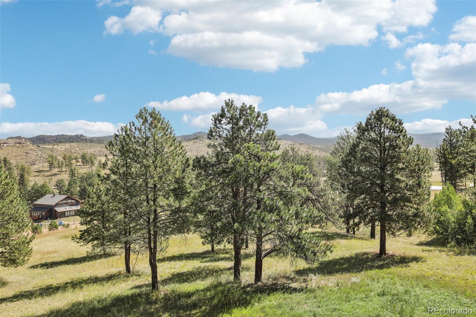 13368 Hedi Road, Woodland Park, CO 80863, 5 Bedrooms Bedrooms, ,3 BathroomsBathrooms,Residential,For Sale,Hedi,REC6791452